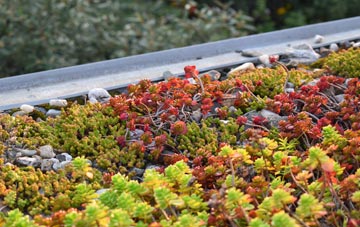 the cost of Largiemore green roof installation
