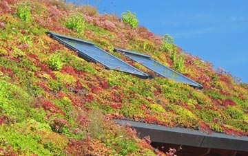 Largiemore living roof systems