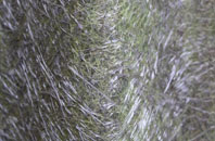 Largiemore fibreglass roof work